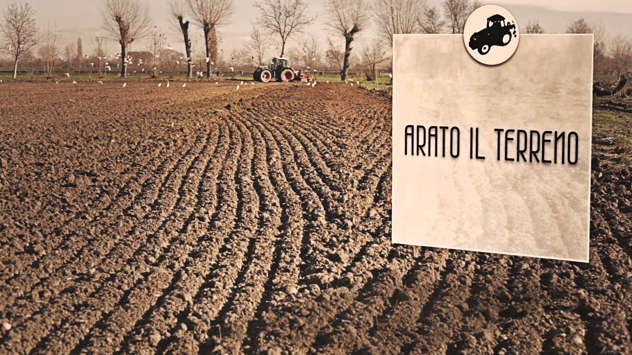 boscoLimite - Natura fuori porta
