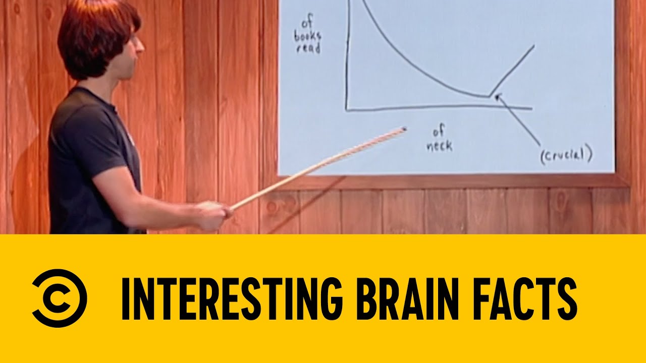 Interesting Brain Facts | Important Things With Demitri Martin | Comedy Central Africa