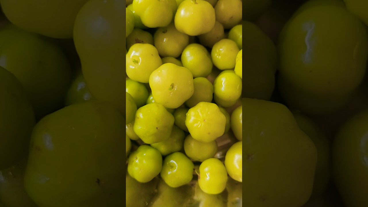 amla (nellikayi )with Chili & Salt🔥