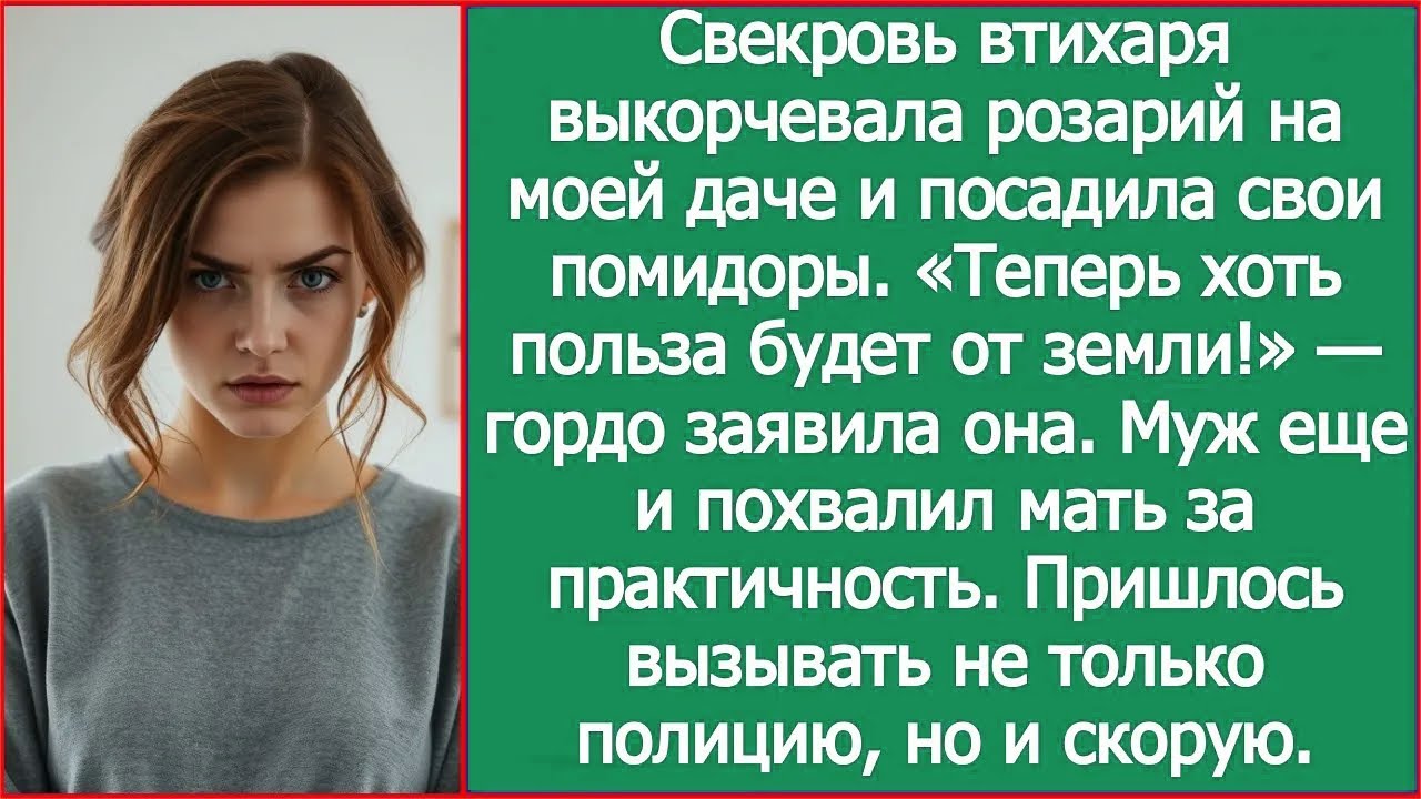 Свекровь втихаря выкорчевала розарий на моей даче и посадила свои помидоры.