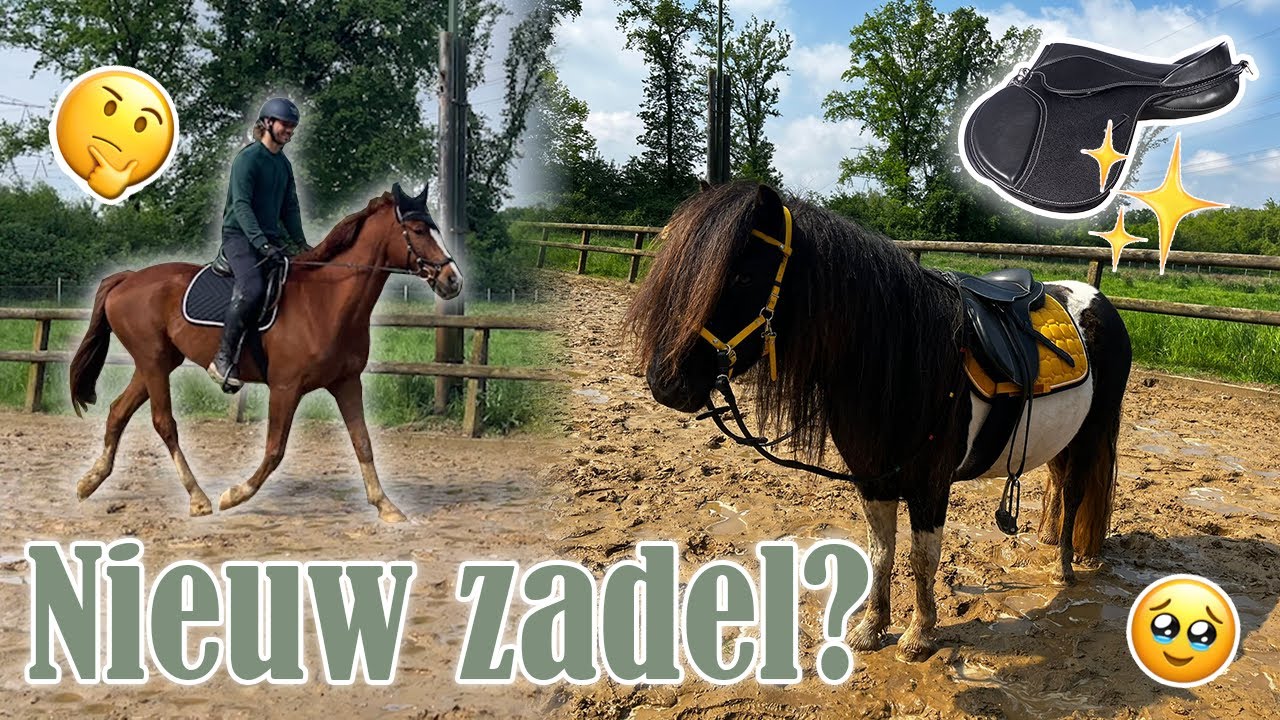 De ZADELPASSER komt voor Lucky & Nirvana! | Vlog 110 | Dwally's Horses