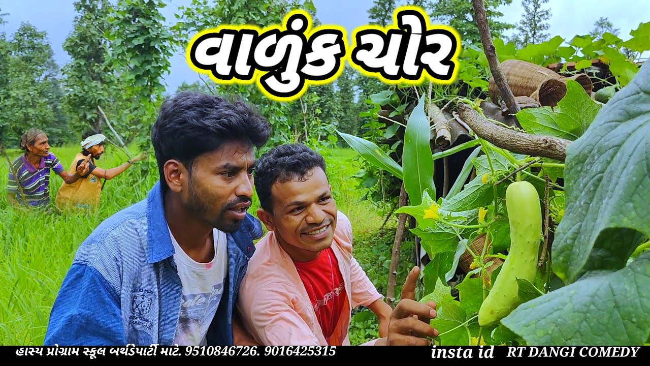 વાળુંક ચોર 🤣(ફૂલ કૉમેડી) Vaduk Chor Rt Dangi Comedy