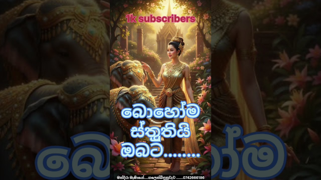 🤴🤴🤴🤴🤴 ස්තුුතියි    මා දිරිමත් කල ඔබට🙏🙏🙏🙏🙏