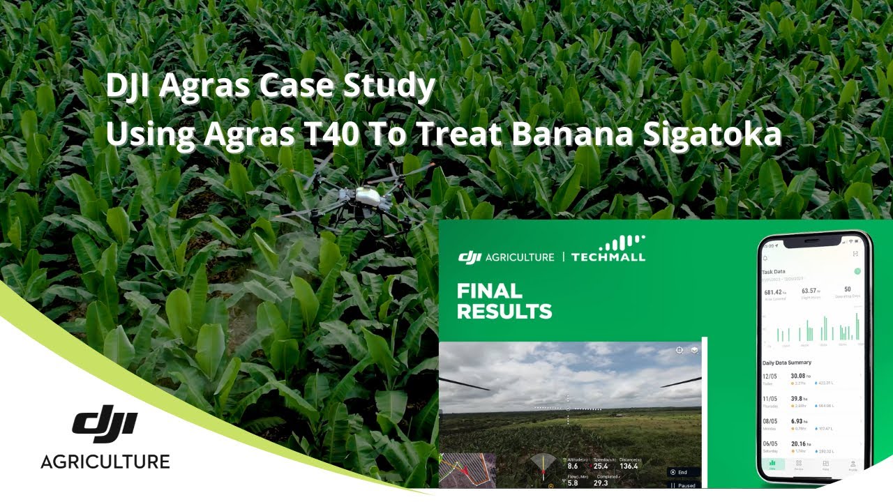 Revolutionizing Banana Farming: How T40 Effectively Treats Sigatoka Disease | DJI Agras Case Study