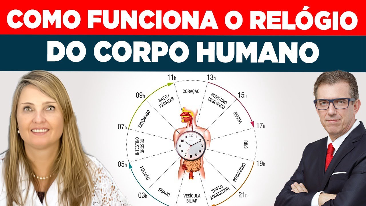 COMO FUNCIONA O RELÓGIO DO CORPO HUMANDO | DRA. ELIZETE KAFFER - FERNANDO BETETI