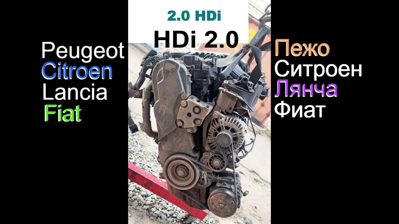 HDi 2.0 Где указан номер двигателя, код (тип) мотора от PSA