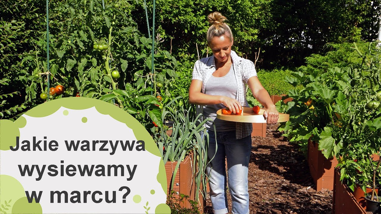 Jakie warzywa wysiewamy w marcu?