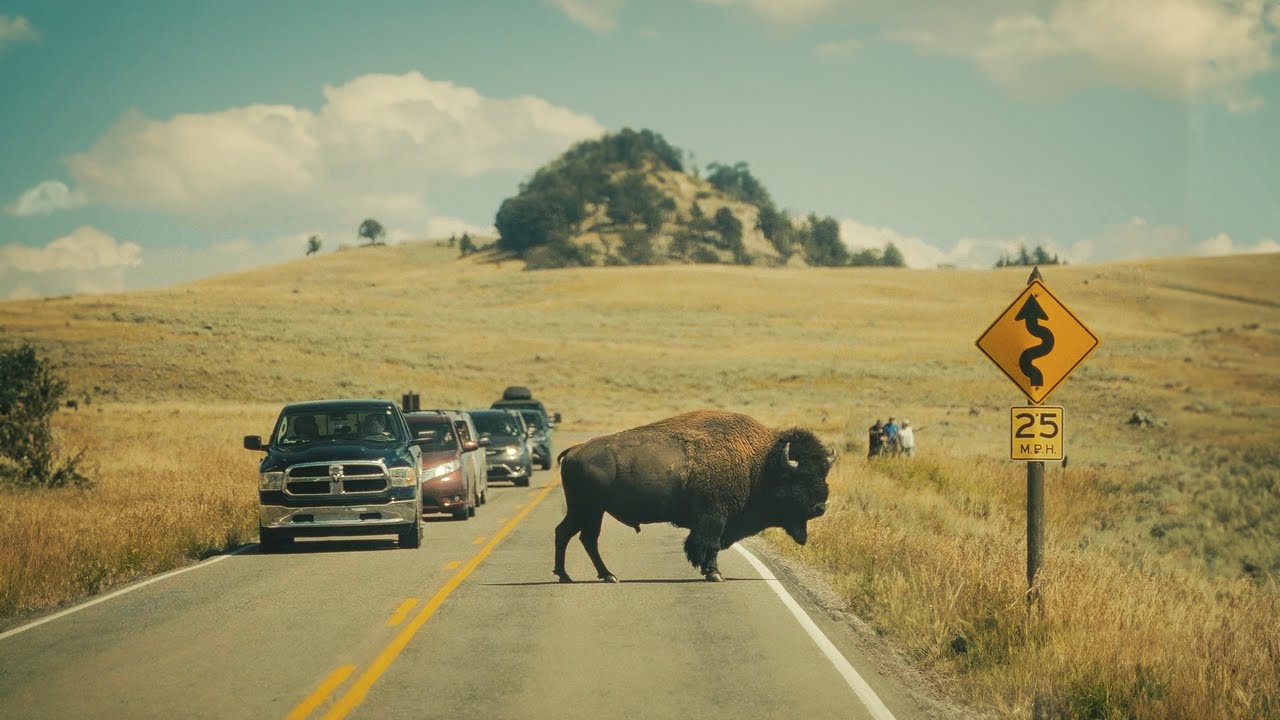 Il Nostro viaggio in Montana