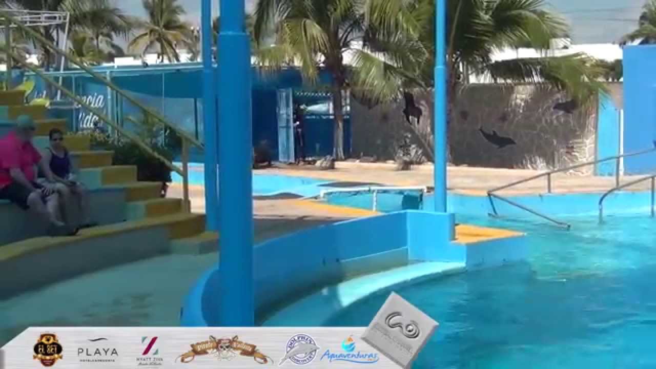 Aventurate y explora en Dolphin Discovery Aquaventuras Park en Puerto Vallarta Parte 2