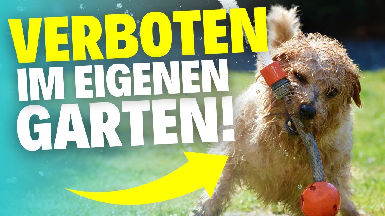 5 Dinge, die in DEINEM eigenen Garten verboten sind!