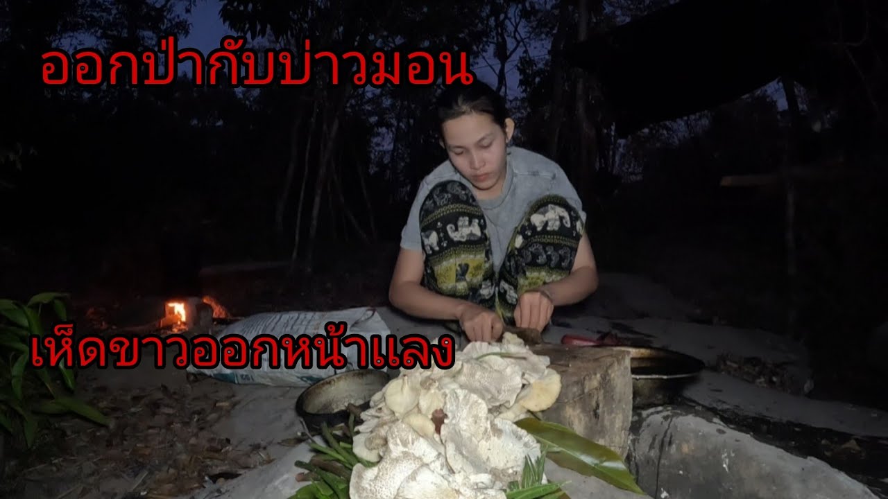 ขื้นป่ามื้อนี้หมานอยู่พี่น้อง/ຂື້ນປ່າກັບບ່າວມອນ20 กุมภาพันธ์ ค.ศ. 2026