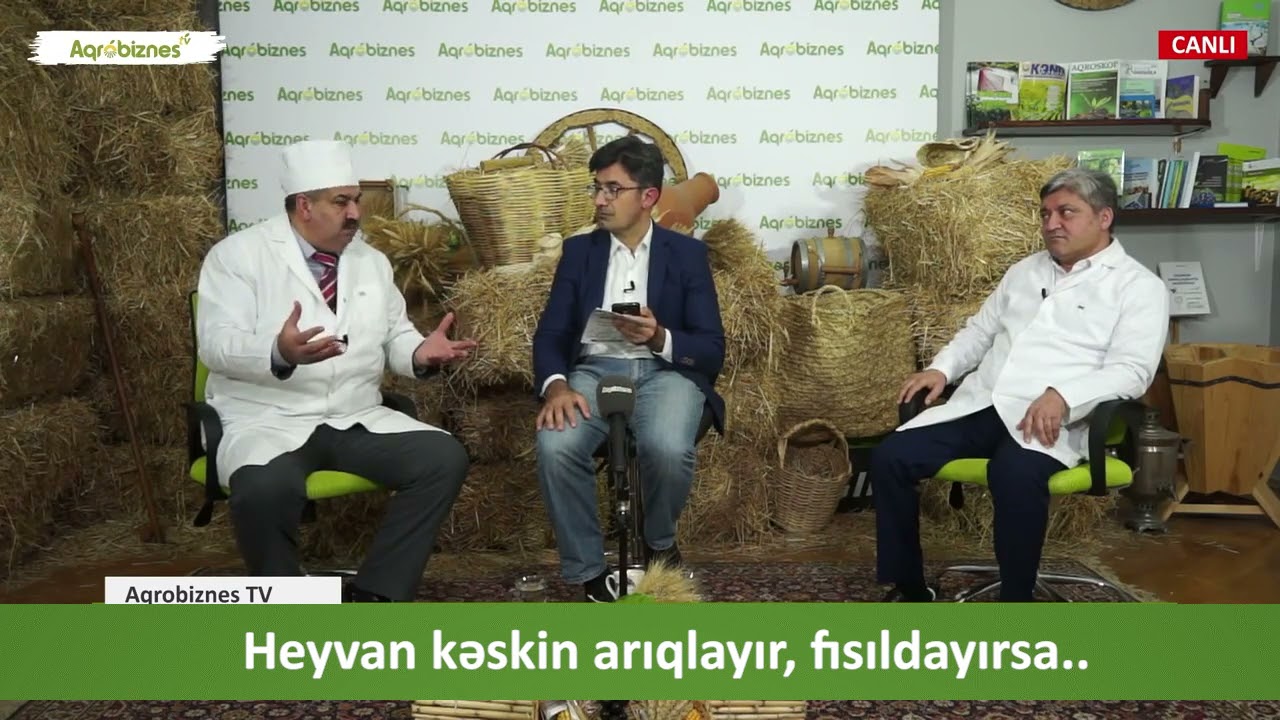 Heyvan kəskin arıqlayır, fısıldayırsa