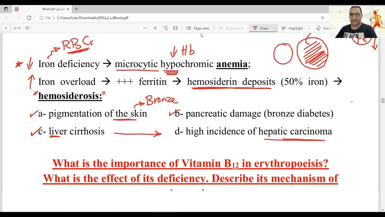 Blood in Capsule - 2 مراجعة ليلة الامتحان