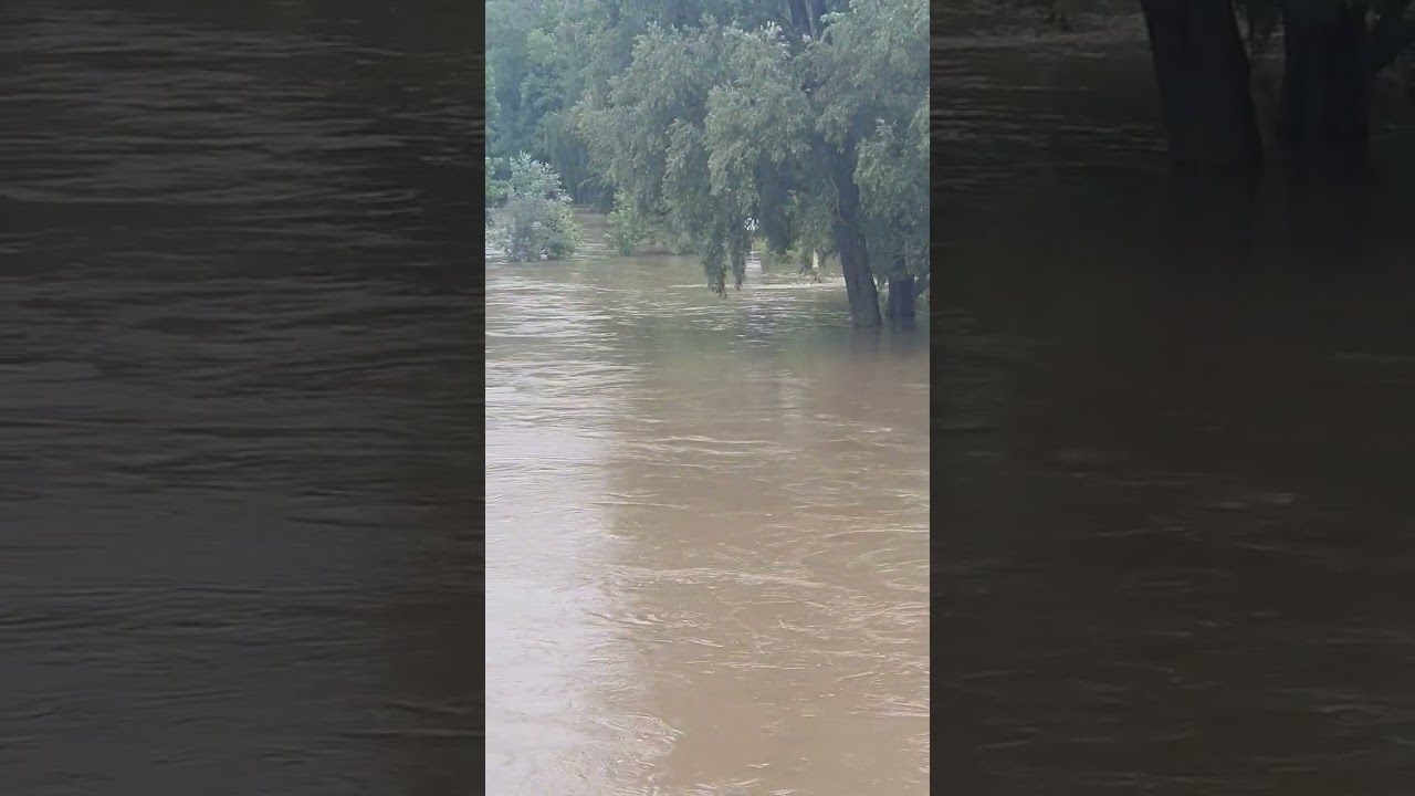 Vohburg an der Donau Hochwasser |  high water   Donau River  Vohburg