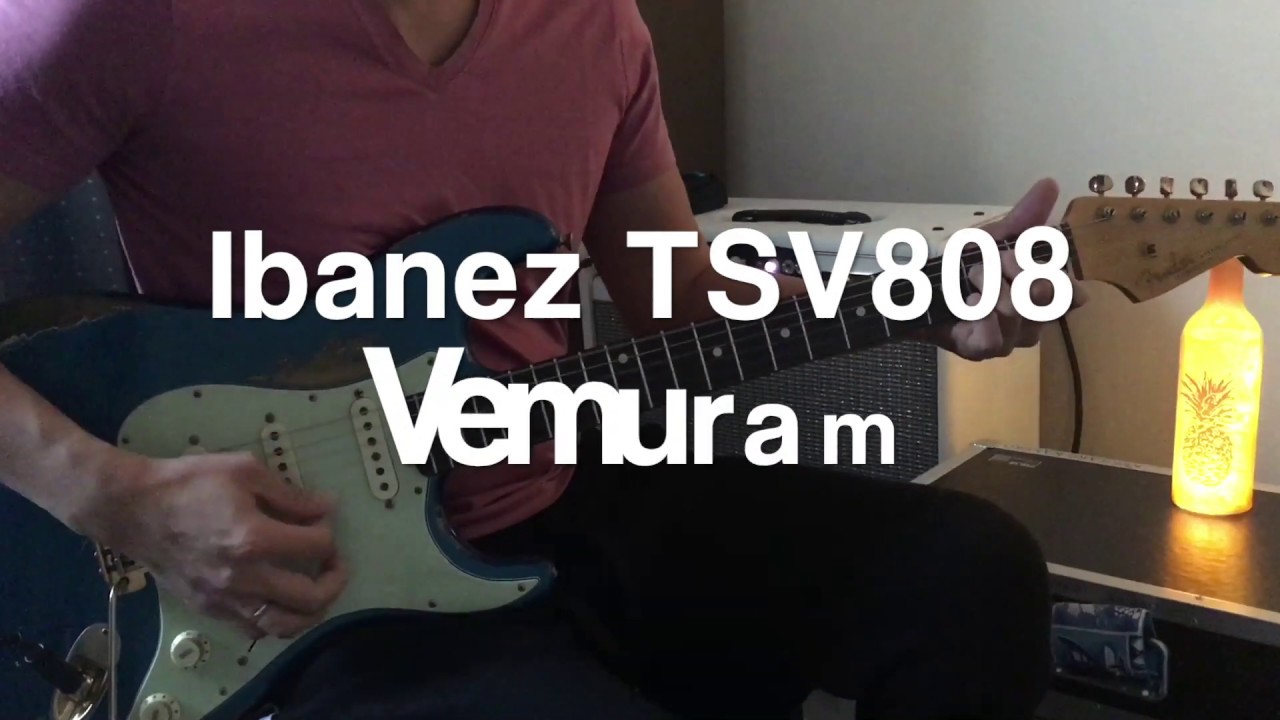 Ibanez TSV808