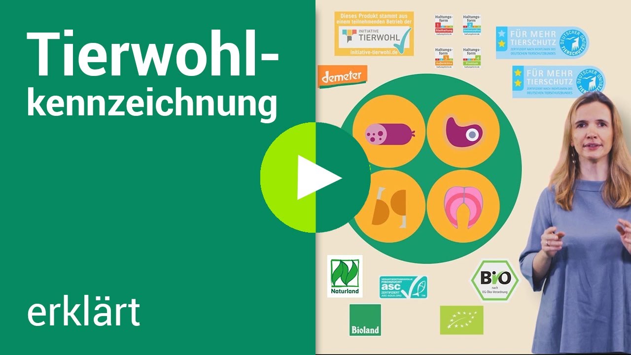 Tierwohl-Kennzeichnung erklärt: Aus welcher Haltung stammen meine tierischen Lebensmittel?