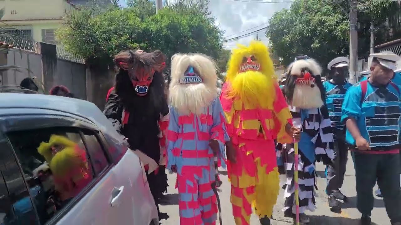 🔴Folia de Reis - Jornada Lua Nova (BSF)