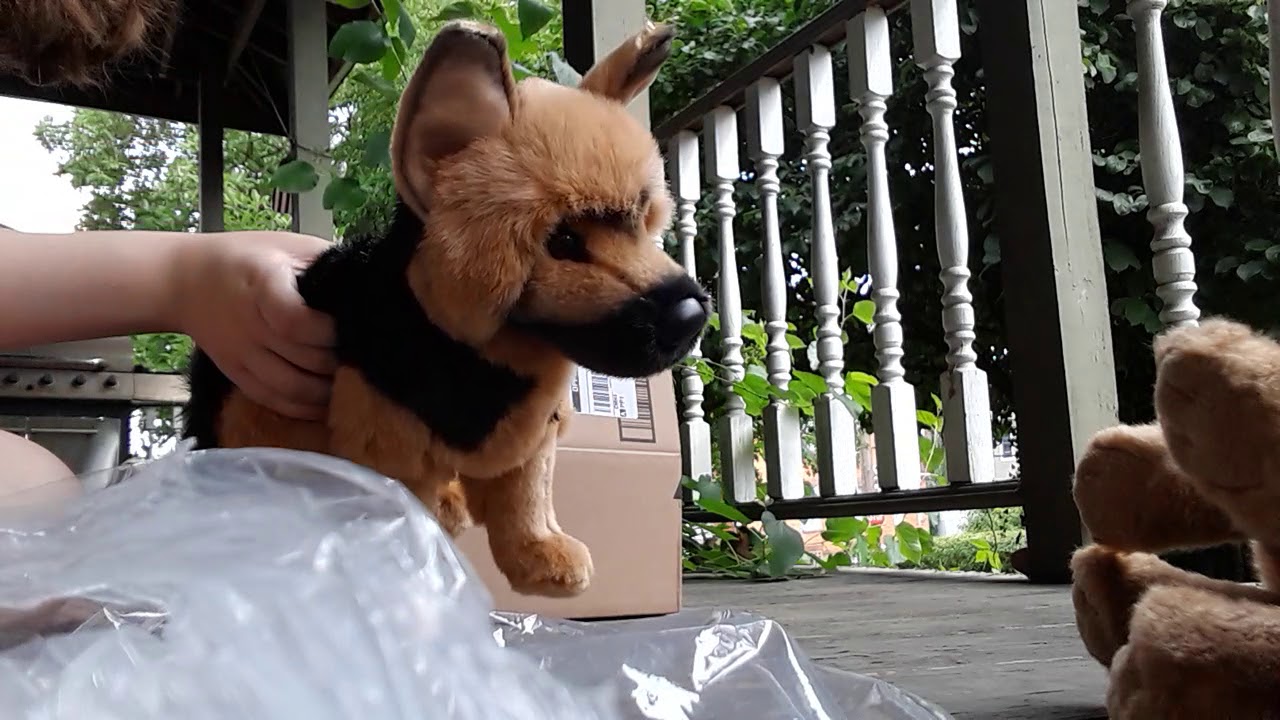 Douglas General German Shepherd unboxing + small comparison with Bearington German Shepherd!