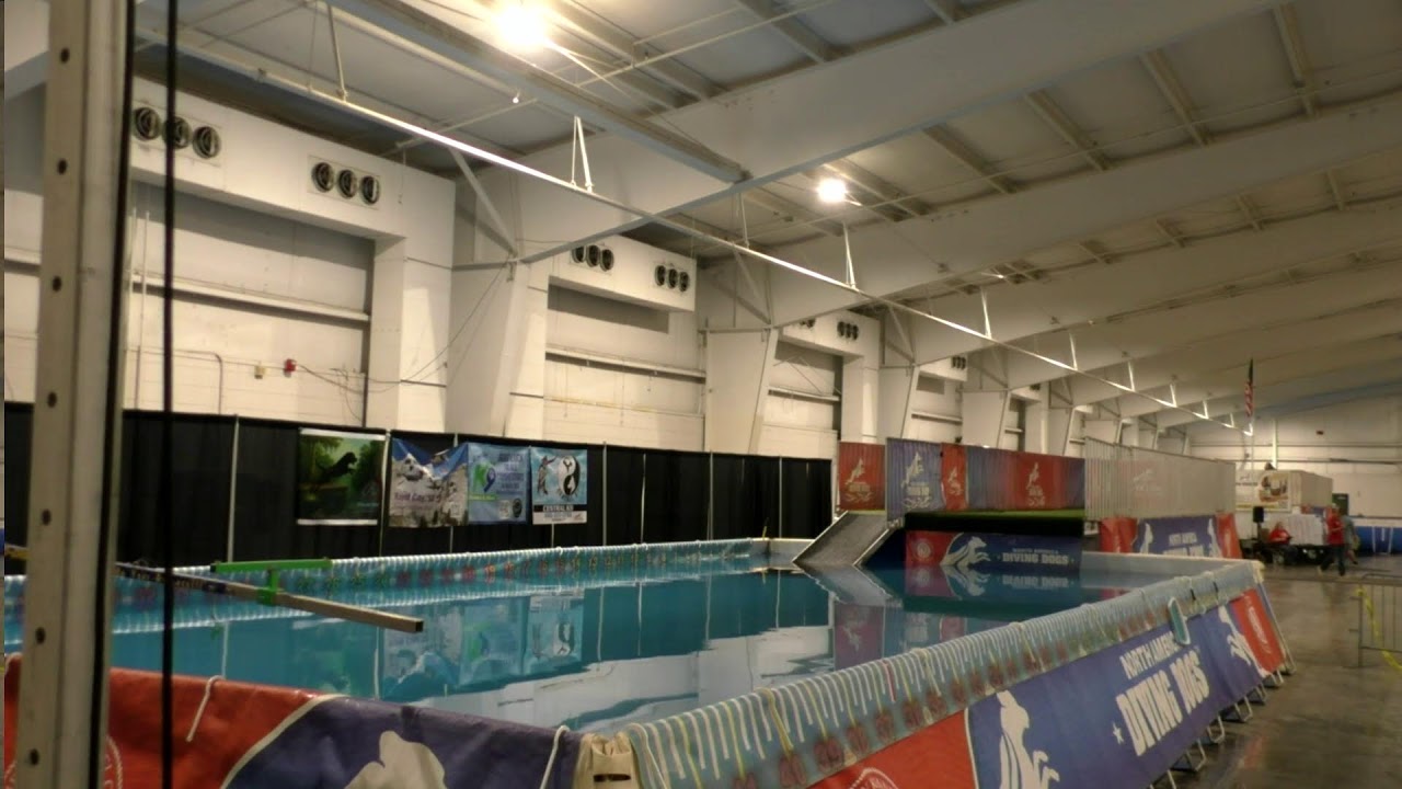 2025 NADD National championship Stream 3