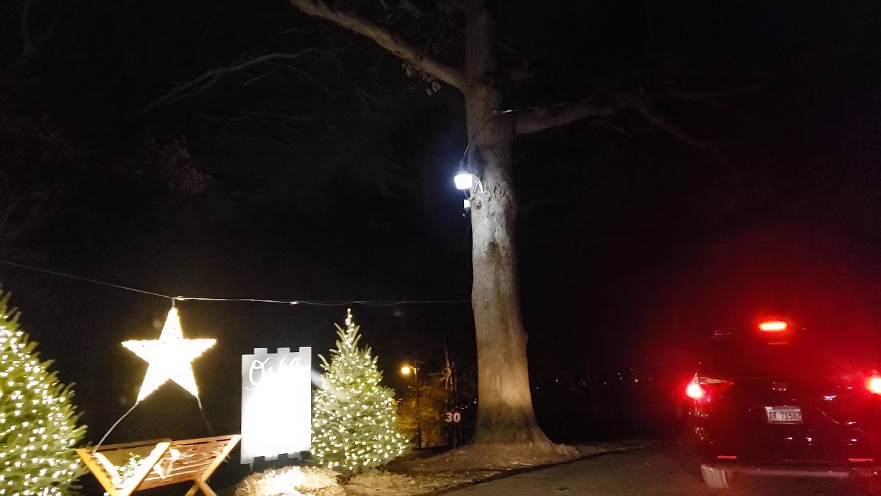 Festival of Lights