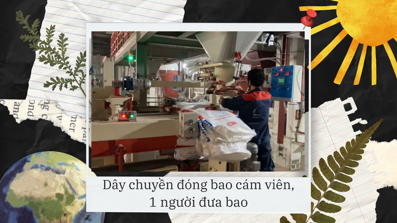 Dây Chuyền Đóng Bao Cám Viên 750 bao/giờ | Chạy thực tế.