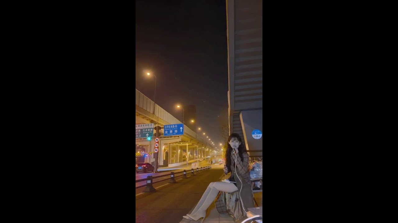 Street Food ASMR