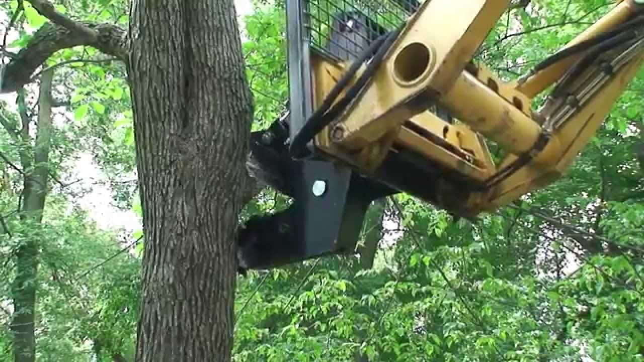 Skid Steer Tree Shear Attachment | Triple S Attachments