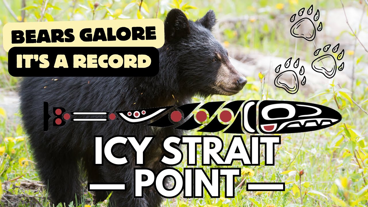 ICY STRAIT POINT - Alaska (Part 2) A VERY SUCCESSFUL BEAR SEARCH