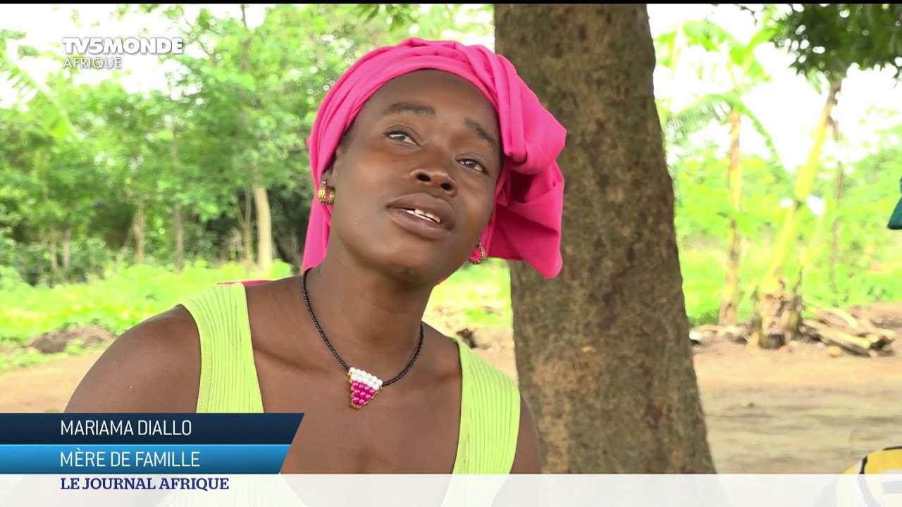 Guinée : Boké, expérience agricole réussie
