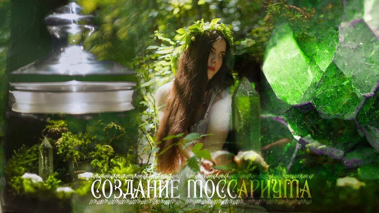 Создаю моссариум