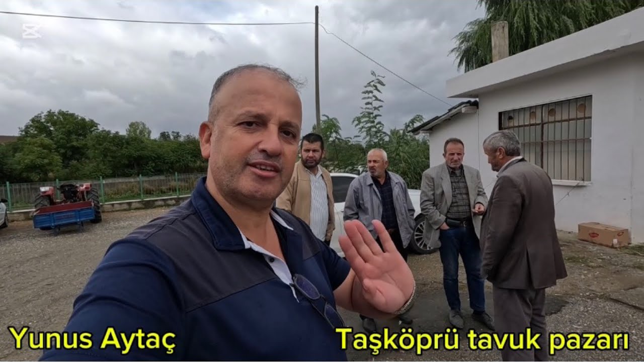 “Taşköprü Tavuk Pazarı | Canlı Tavuk Alım Satım”Organik Köy Tavukları