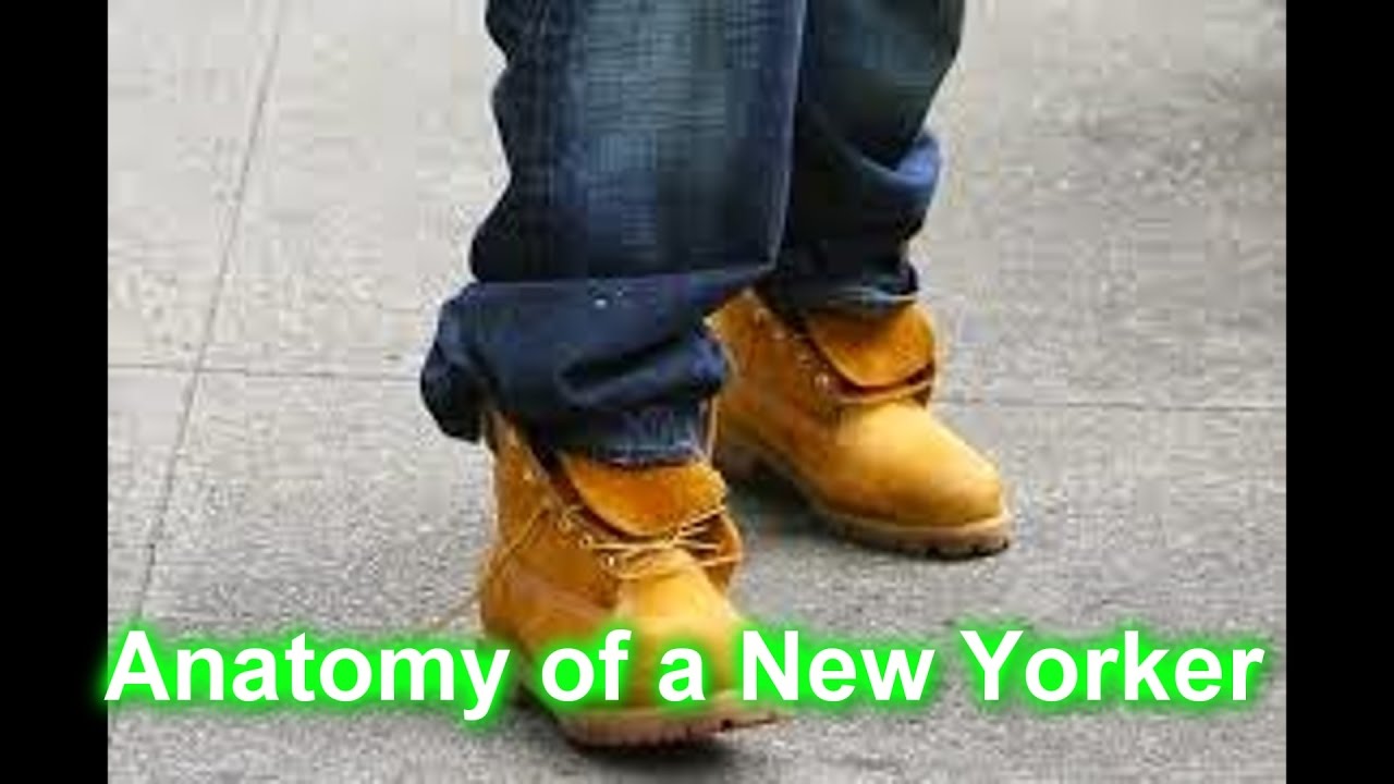 Anatomy of a New Yorker