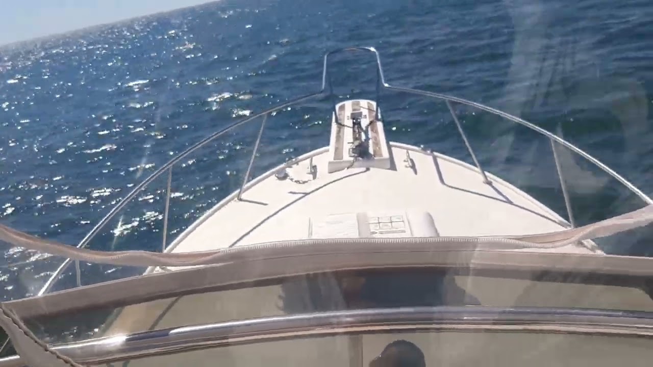 29 Blackfin