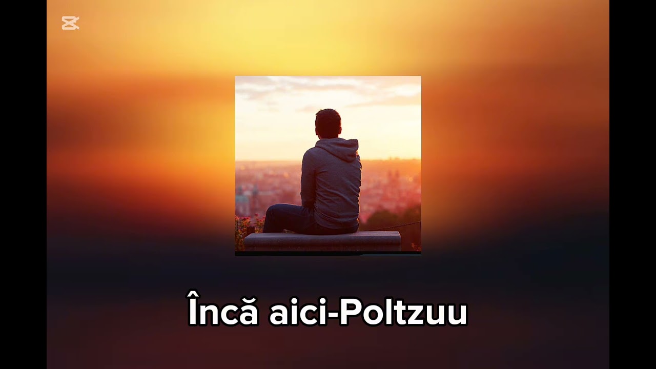 Inca aici-Poltzuu music