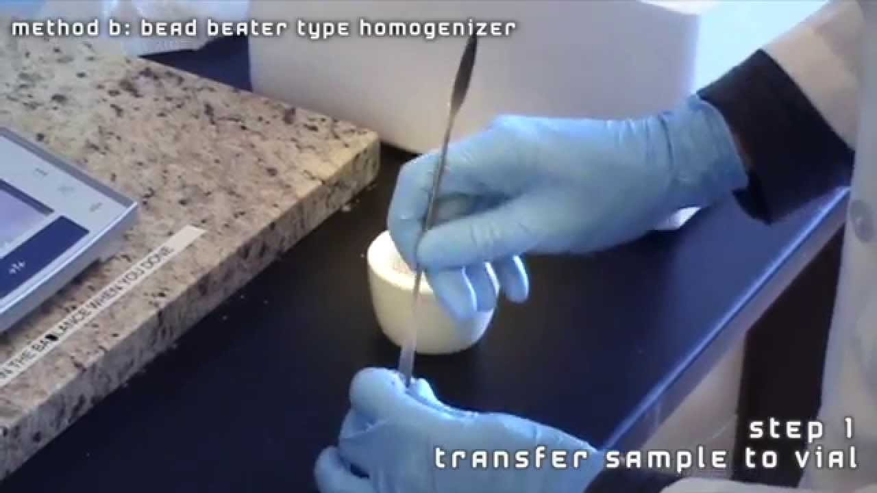 Mammalian Tissue Preparation