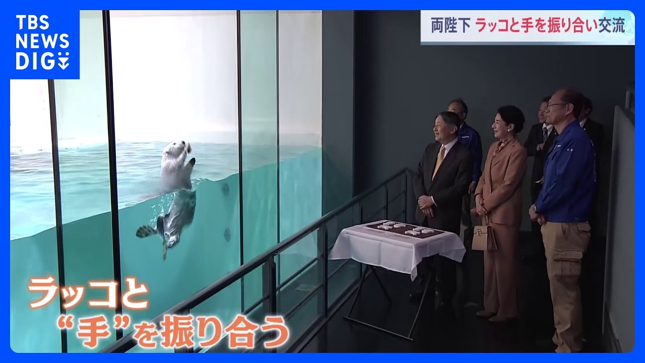 【ラッコと笑顔で“手”を振り合い】天皇皇后両陛下　名物「イカミミジャンプ」成功で笑いながら拍手も　9日は「海づくり大会」出席　三重県｜TBS NEWS DIG