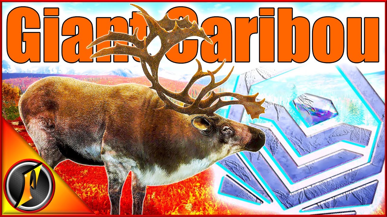GIANT Max Weight Diamond Caribou on a Yukon Valley Multiplayer Hunt!