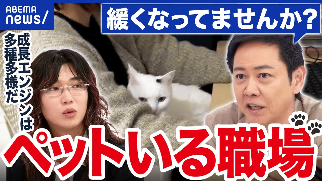 【職場にペット】求人10倍の企業も&hellip;癒し？集中できる？動物と働くメリットは｜アベプラ