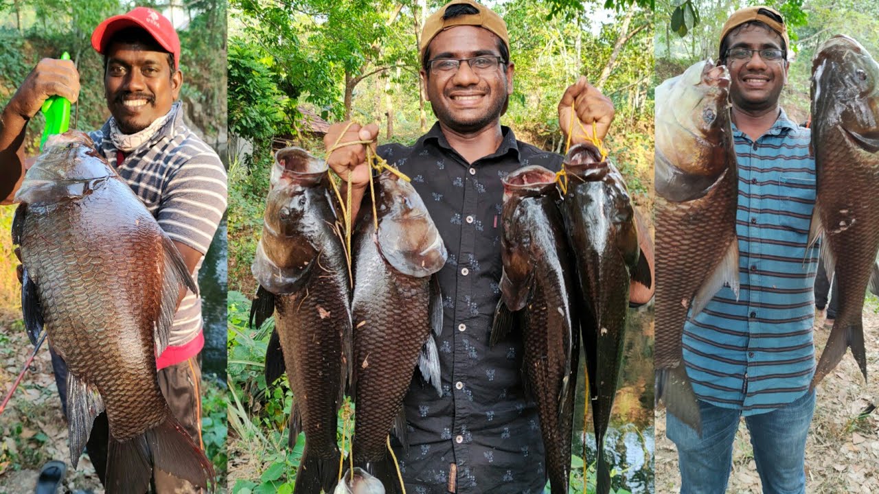When tigers set fire to the bait fish farm😳😱|Kerala fishing|Fishing Kerala|DEEPU BABU|