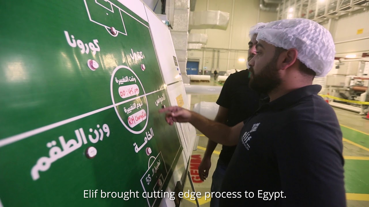 Manufacturing Flexible Packaging in Egypt
