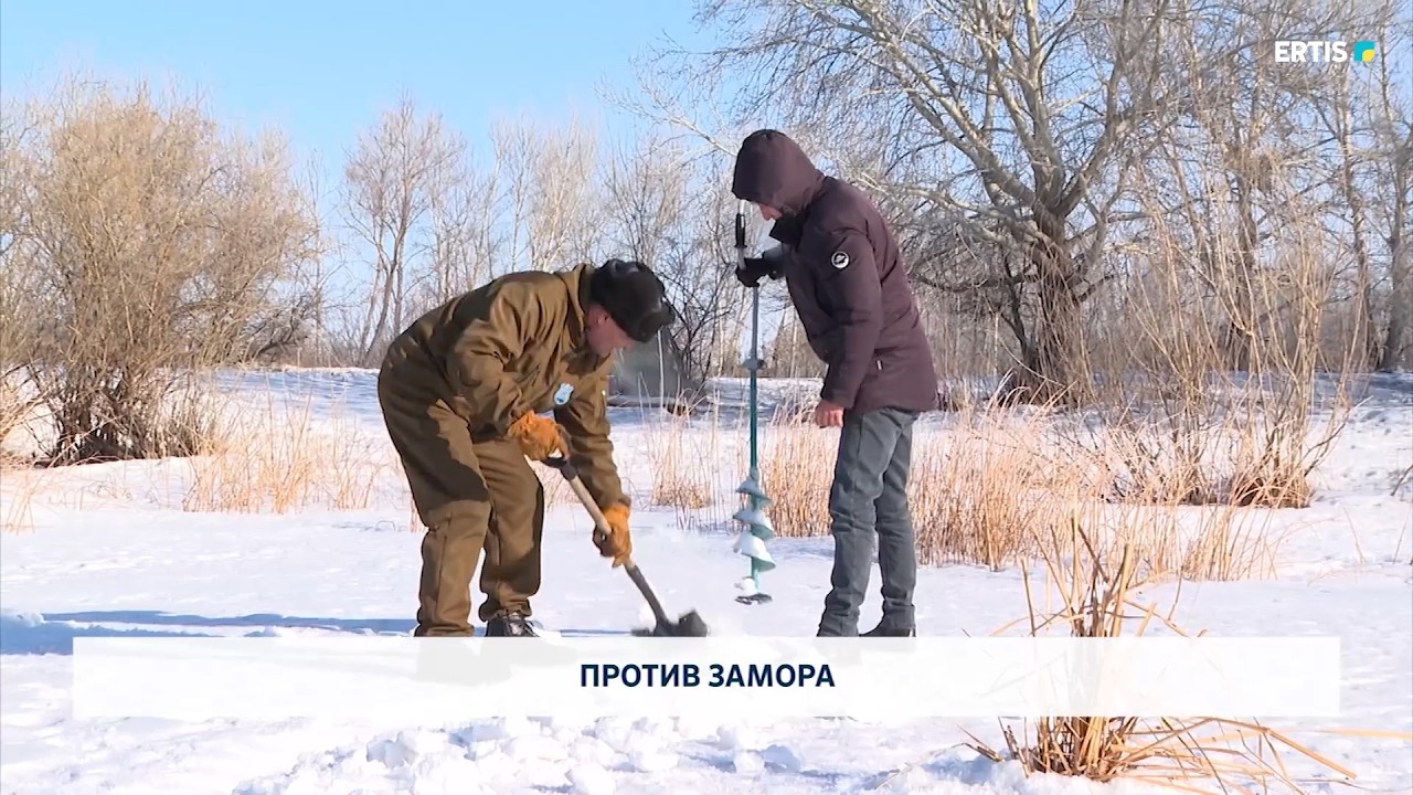 Против замора