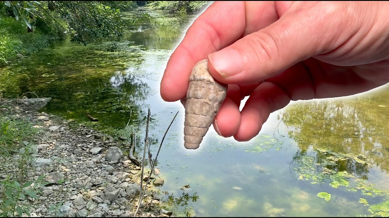 Summer Fossil Hunting North Texas Creeks - 2023 #fossilhunting