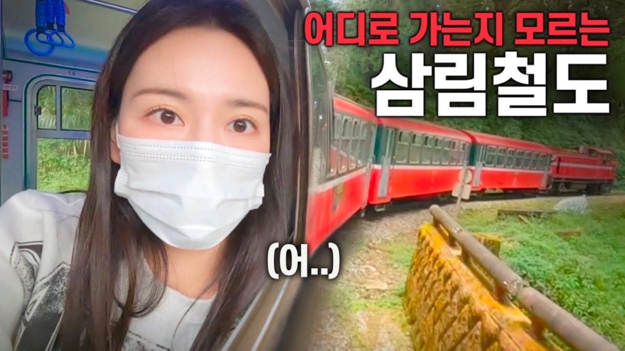 현지인과 세계3대 아리산 일출 삼림기차를 타면 생기는 일 - [🇹🇼대만08]