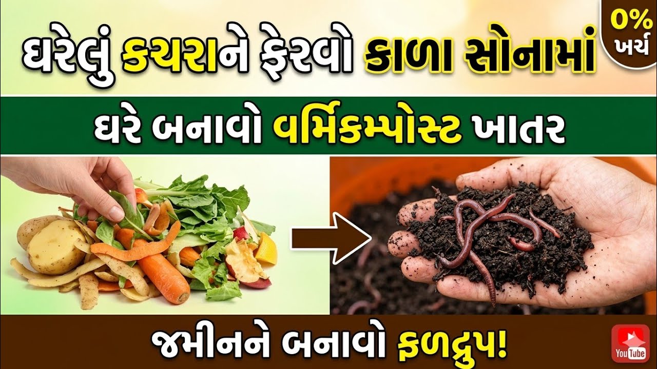 ઘરેલું કચરાને બનાવો સોનું બનાવો વર્મિકમ્પોષ્ટ(અળસિયાં)નું ખાતર અને તમારી જમીનને બનાવો ફળદ્રુપ