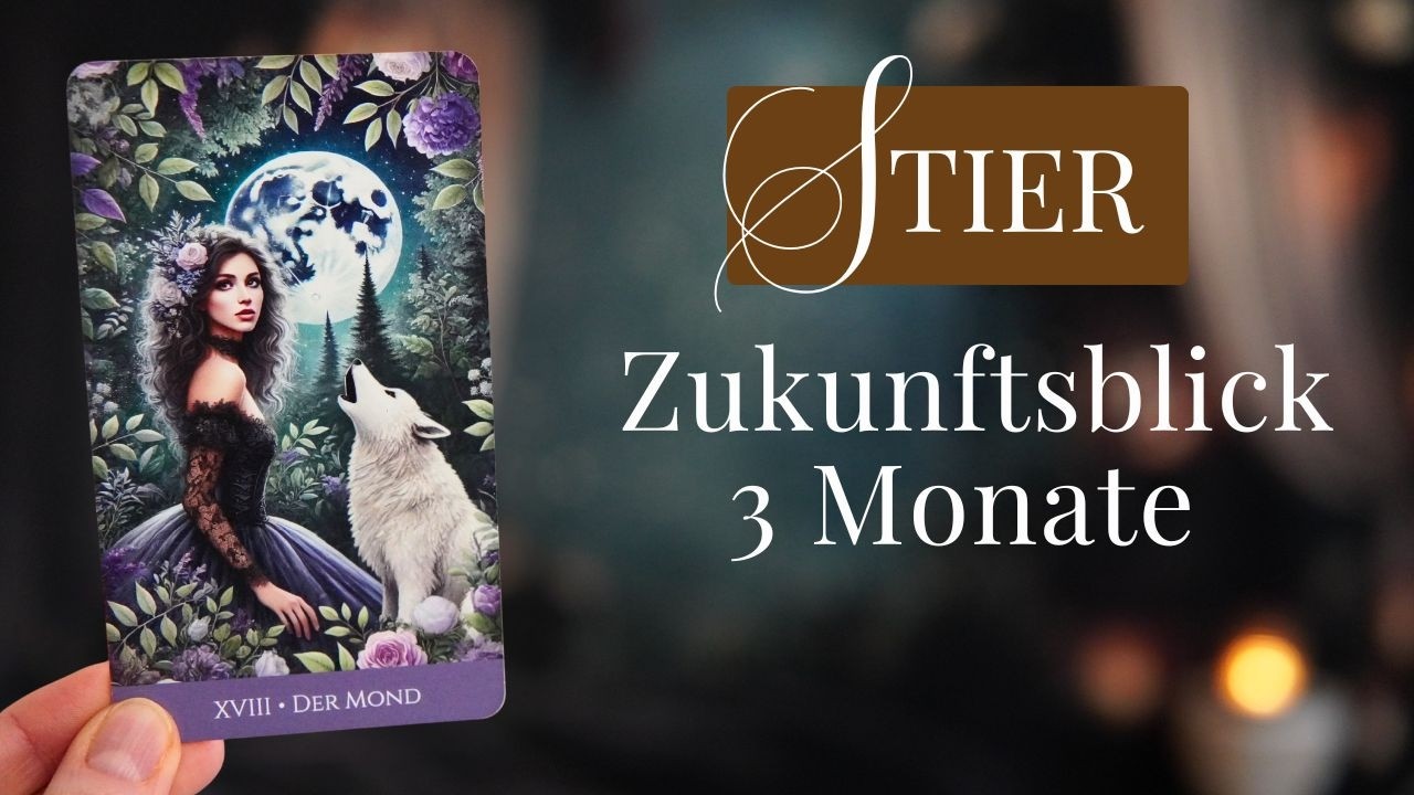 Stier ✨ Das kommt jetzt auf dich zu ✨ Die nächsten 3 Monate ab heute | Tarot Reading