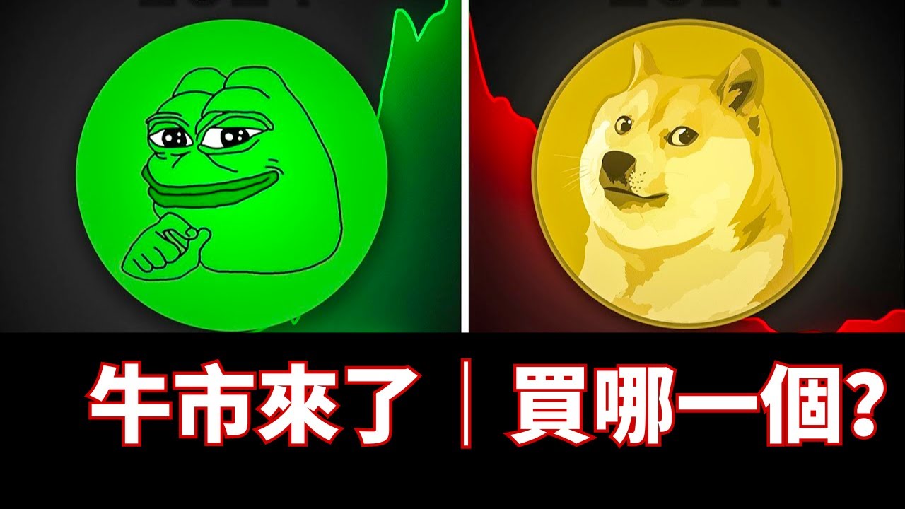 谁的潜力最大？pepe和doge谁有最有可能胜出？國中生超愛買meme幣的原因。2024牛市該買哪一隻幣？ #pepe #doge #meme
