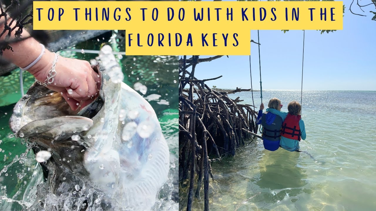 Лучшие развлечения для всей семьи на Флорида-Кис #жизньвдоме #floridakeys #путешествиясдетьми