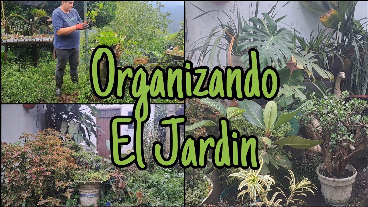 Organizando un poco el desorden del jardín.