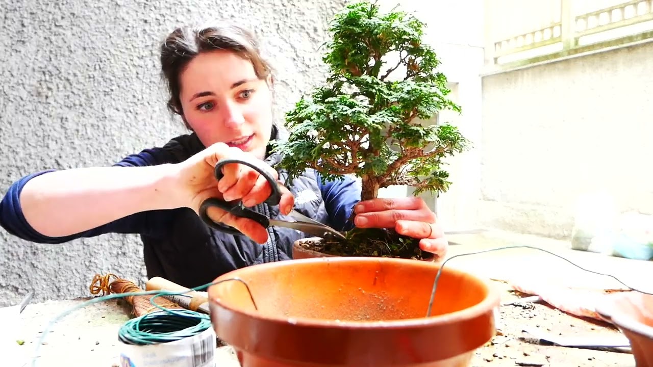 RINVASO i Bonsai - il mio mix di substrati