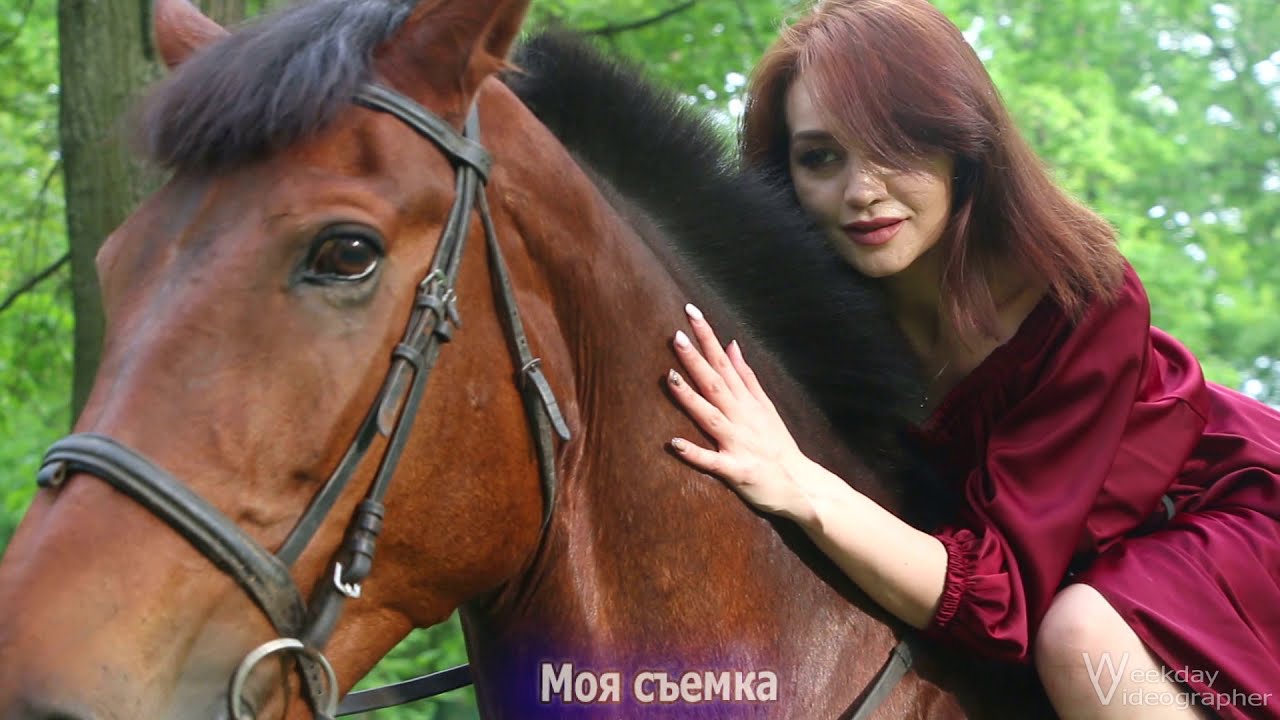 Съемка фотосессии с лошадьми BACKSTAGE